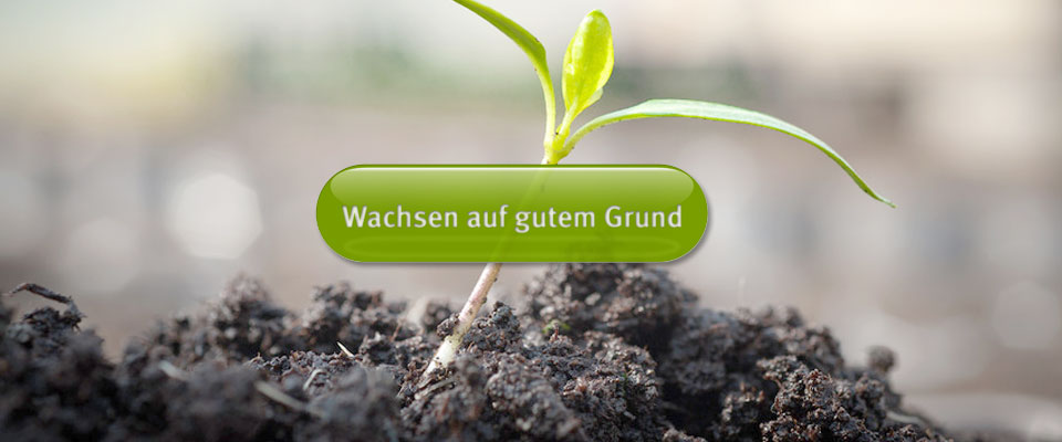 Wachsen auf gutem Grund